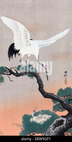 Ohara Koson. Stampa xilografica intitolata 'Japanese Crane on the Branch of a Pine' del incisore giapponese, Ohara Koson (anche Ohara Hōson, Ohara Shōson: 1877-1945), c. 1900-1930 Foto Stock