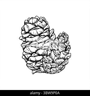 Composizione vettoriale monocromatica a due coni pinecone o cedro. Disegno inciso del simbolo della decorazione natalizia per l'imballaggio delle festività e il marchio invernale Illustrazione Vettoriale