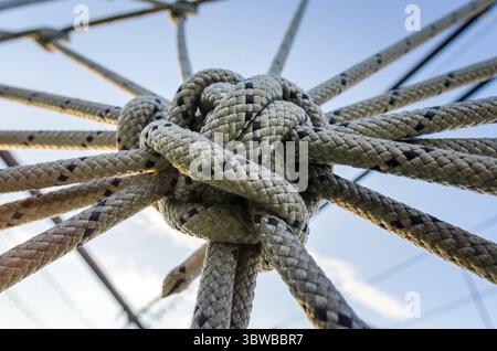 Molte corde e un grosso nodo da vicino Foto Stock
