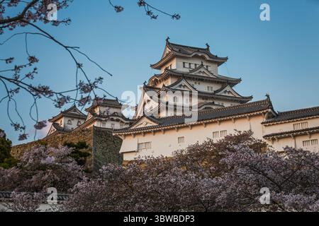 Il maestoso castello di Himeji in Giappone, patrimonio dell'umanità dell'UNESCO, fiorisce sotto un'alba tranquilla. Le pareti bianche contrastano splendidamente con il vibrante pi Foto Stock