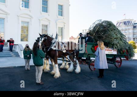 23 novembre 2020, Washington, il Distretto di Columbia, Stati Uniti d'America: La First Lady Melania Trump riceve l'albero di Natale della Casa Bianca lunedì 23 novembre 2020, al portico nord della Casa Bianca... persone: First Lady Melania Trump. (Immagine di credito: © SMG via ZUMA Wire) Foto Stock