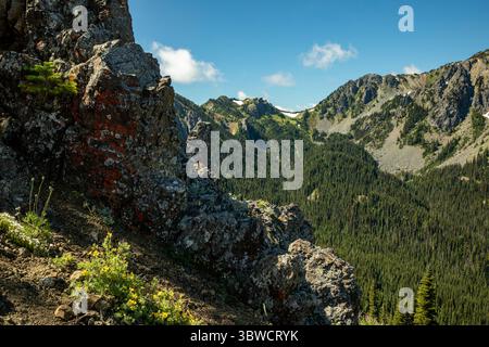 WA28541-00...WASHINGTON - licheni colorati che crescono sulle rocce lungo il Silver Lake Trail nel Buckhorn Wilderness, foresta nazionale olimpica. Foto Stock