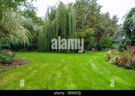Lussureggiante giardino privato con salice piangente e colorate aiuole di fiori, accogliente atmosfera all'aperto. Foto Stock