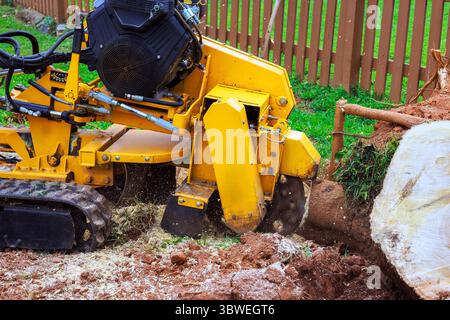 L'attrezzatura rimuove grandi ceppi di alberi durante la preparazione del giardino per nuovi miglioramenti all'architettura paesaggistica. Foto Stock