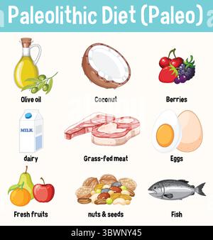 Vector illustration of Paleo diet foods with vibrant colors and clear labels. Includes meats, fruits, nuts, and oils Illustrazione Vettoriale