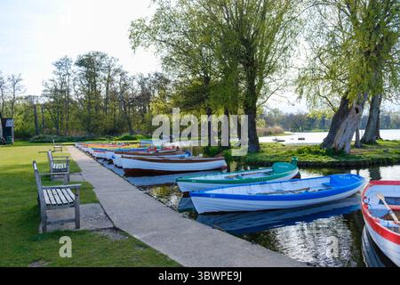 Fila di colorate barche a remi in legno ormeggiate lungo un sentiero lastricato accanto a un tranquillo lago, con panchine sull'erba a sinistra e alberi che fiancheggiano la riva. Foto Stock