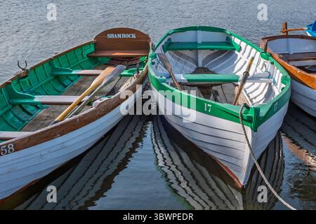 Primo piano di tre barche a remi ormeggiate in acque calme con remi all'interno e Shamrock scritto su una. Foto Stock