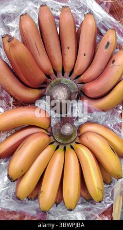 Vista dall'alto verso il basso di due mazzi di banane rosse mature esposte su un foglio di plastica in un mercato locale. Foto Stock
