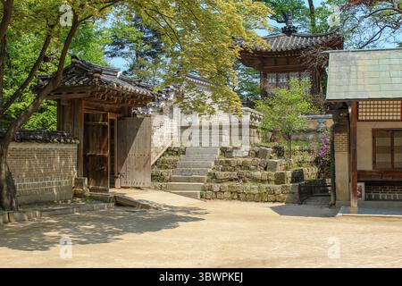 Tradizionale architettura coreana hanok con cancello in legno, tetto piastrellato, scalini in pietra e vegetazione primaverile in un tranquillo cortile. Foto Stock