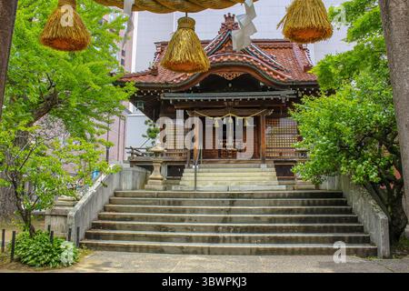 Tradizionale santuario shintoista con corda shimenawa e nappine, annidato nel verde urbano del Giappone. Foto Stock