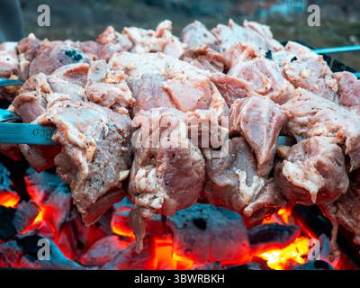 Pezzi di carne di maiale cruda condita con spezie e aglio, grigliate su spiedini di metallo su carboni rossi caldi, pronti per un delizioso barbecue Foto Stock