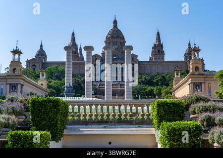 Museu Nacional d'Art de Catalunya a Jardins de Joan Maragall nel quartiere Sants-Montjuic di Barcellona nella regione spagnola della Catalogna Foto Stock