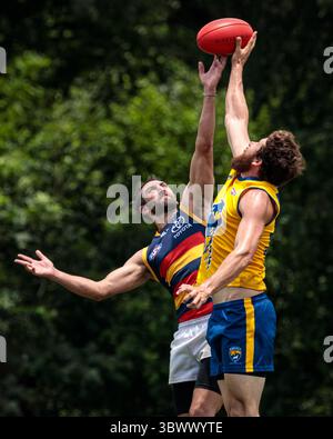 12 giugno 2021, Austin, Texas, Stati Uniti: Partita della United States Australian Football League tra i dingo Austin Crows e Dallas all'Onion Creek Soccer Complex di Austin, Texas. (Immagine di credito: © Ralph Arvesen/ZUMA Press) Foto Stock