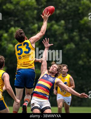 12 giugno 2021, Austin, Texas, Stati Uniti: Partita della United States Australian Football League tra i dingo Austin Crows e Dallas all'Onion Creek Soccer Complex di Austin, Texas. (Immagine di credito: © Ralph Arvesen/ZUMA Press) Foto Stock