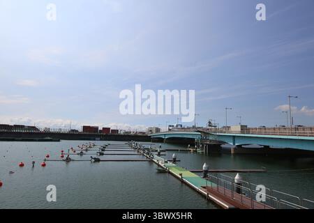 23 luglio 2021, Koto City, Tokyo, Giappone: Veduta generale della partenza del concorso di canottaggio al Sea Forest Waterway il 23 luglio 2021 a Tokyo, Giappone (Credit Image: © Mickael Chavet via ZUMA Press Wire) Foto Stock