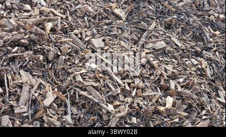 Trucioli di legno grana pacciamatura - sfondo naturale della copertura del terreno Foto Stock