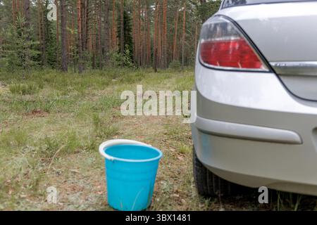 La parte posteriore di un'auto argentata parcheggiata ai margini di una pineta, con un secchio blu a terra, che suggerisce attività all'aperto. Foto Stock