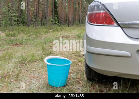 La parte posteriore di un'auto argentata parcheggiata ai margini di una pineta, con un secchio blu a terra, che suggerisce attività all'aperto. Foto Stock