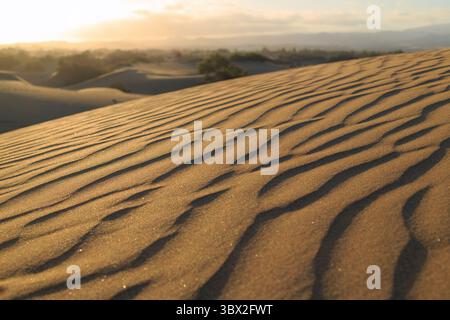 La luce del sole proietta un caldo bagliore sulle dune di sabbia testurizzate, evidenziando i motivi intricati quando il giorno passa alla notte. Foto Stock