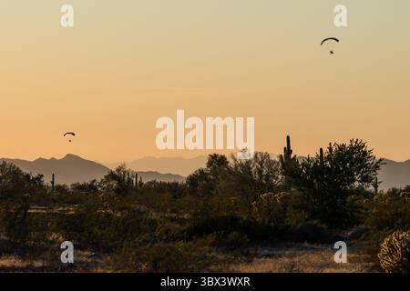 13 gennaio 2020, Quartzsite, Arizona, Stati Uniti: Due paracadute motorizzati o PPS volano vicino a Quartzsite, Arizona, con cactus saguaro in primo piano. (Immagine di credito: © Jon G. Fuller/VW Pics via ZUMA Press Wire) Foto Stock