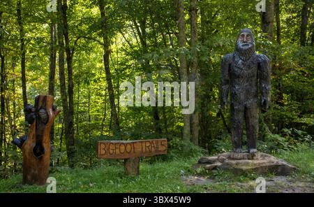 A Cataloochee, Carolina del Nord, sorge una imponente statua di Bigfoot, che aggiunge una dose di mistero e folklore di montagna a questa remota valle delle Smoky Mountains Foto Stock