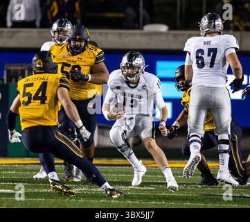 4 settembre 2021 Berkeley, CA USA, il quarterback Carson strong (12) corre fuori dalla tasca durante la partita di football NCAA tra Nevada Wolf Pack e California Golden Bears. Nevada ha vinto 22-17 dal FTX Field al California Memorial Stadium. Thurman James/CSM(immagine di credito: &Copy; Thurman James/CSM tramite cavo ZUMA) Foto Stock