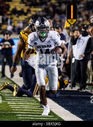 4 settembre 2021 Berkeley, CA USA, il quarterback Jake Barlage (14) corre a bordo campo durante la partita di football NCAA tra Nevada Wolf Pack e California Golden Bears. Nevada ha vinto 22-17 dal FTX Field al California Memorial Stadium. Thurman James/CSM(immagine di credito: &Copy; Thurman James/CSM tramite cavo ZUMA) Foto Stock