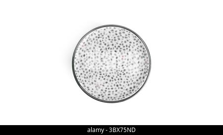 Budino di Chia isolato su sfondo bianco. Dessert sano multistrato. Chia mousse. Foto di alta qualità Foto Stock