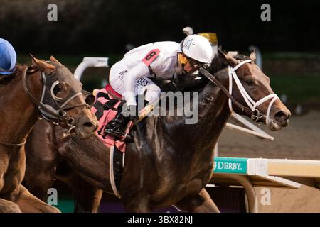 18 settembre 2021, Louisville, Kentucky, Stati Uniti: 18 settembre, 2021: il maggiore generale #8, guidato dal fantino Javier Castellano vince la corsa Irochese (Grade 3) per due anni maschi a Churchill Downs a Louisville, K.Y. il 18 settembre 2021. Jessica MorganEclipse SportswireCSM(immagine di credito: &Copy; CSM tramite filo ZUMA) Foto Stock