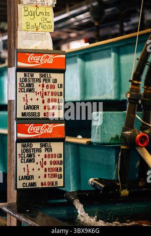 Price Board presso Youngs Lobster Pound a Belfast, Maine Foto Stock