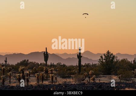 13 gennaio 2020, Quartzsite, Arizona, Stati Uniti: Un paracadute motorizzato o PPC vola vicino a Quartzsite, Arizona al tramonto con cactus saguaro in primo piano. (Immagine di credito: © Jon G. Fuller/VW Pics via ZUMA Press Wire) Foto Stock