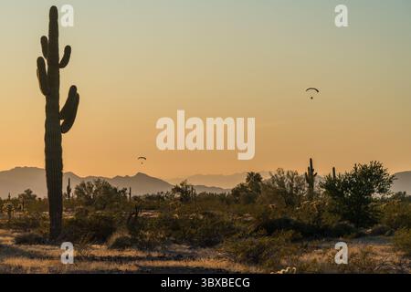 13 gennaio 2020, Quartzsite, Arizona, Stati Uniti: Due paracadute motorizzati o PPC volano vicino a Quartzsite, Arizona al tramonto con cactus di saguaro in primo piano. (Immagine di credito: © Jon G. Fuller/VW Pics via ZUMA Press Wire) Foto Stock