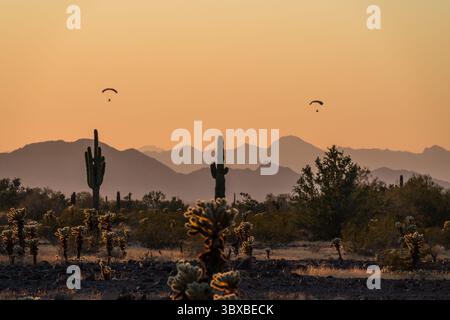 13 gennaio 2020, Quartzsite, Arizona, Stati Uniti: Due paracadute motorizzati o PPC volano vicino a Quartzsite, Arizona al tramonto con cactus di saguaro in primo piano. (Immagine di credito: © Jon G. Fuller/VW Pics via ZUMA Press Wire) Foto Stock