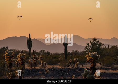 13 gennaio 2020, Quartzsite, Arizona, Stati Uniti: Due paracadute motorizzati o PPC volano vicino a Quartzsite, Arizona al tramonto con cactus di saguaro in primo piano. (Immagine di credito: © Jon G. Fuller/VW Pics via ZUMA Press Wire) Foto Stock