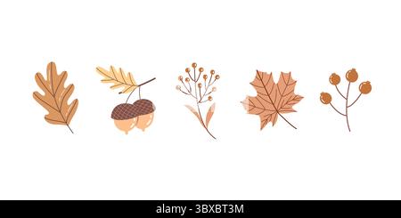 Foglie autunnali disegnate a mano ed elementi botanici illustrano quercia, acero, mais e bacche Illustrazione Vettoriale