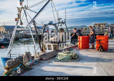 Pescatori che scaricano casse di pesce appena pescato da un peschereccio locale, a West Bay, Bridport, Dorset, Regno Unito. Dopo la Brexit. Foto Stock