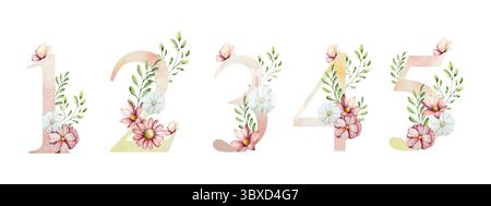 Elegante numero uno, due, tre, quattro, cinque con fiori e foglie, farfalla. Acquerello gerbera, camomilla, echinacea. Arte di fiori selvatici disegnata a mano Foto Stock