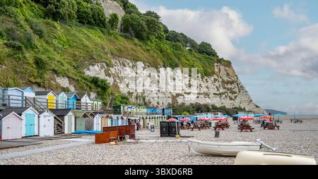 Cliffs and Beach a Beer, Devon, Inghilterra Foto Stock