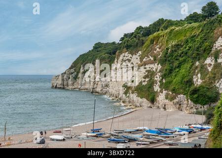 Cliffs and Beach a Beer, Devon, Inghilterra Foto Stock