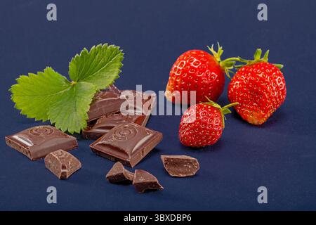Questa vivace immagine mostra fragole mature e succose e ricchi pezzi di cioccolato disposti splendidamente su un sorprendente sfondo blu. Perfetto per f Foto Stock