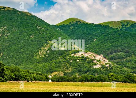 Paese collinare di campi Vecchio, gregge di pecore, Parco Nazionale dei Monti Sibillini, vicino a Norcia, regione Umbria, Italia Foto Stock