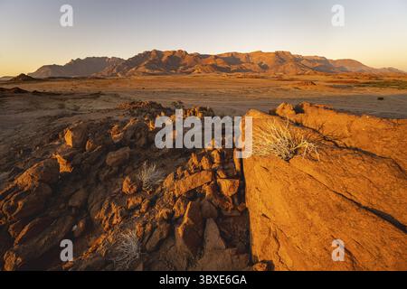 Paesaggio desertico con Brandberg alla luce del mattino, all'alba, Erongo, Damaraland, Namibia Foto Stock