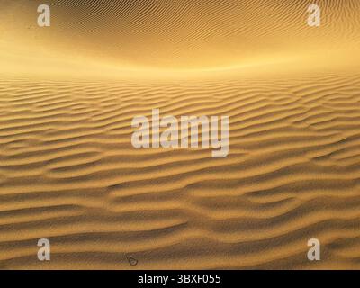 Primo piano delle formazioni di onde di sabbia del deserto alla luce del sole dorato Foto Stock