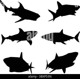 Silhouette nera di un'icona di squalo bianco. Silhouette di squalo bianco in eps10 vettoriale isolato nero. Colore nero bianco Shark Flat, Illustrazione Vettoriale