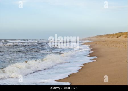 Surf nel Mare del Nord al largo di Rantum Foto Stock