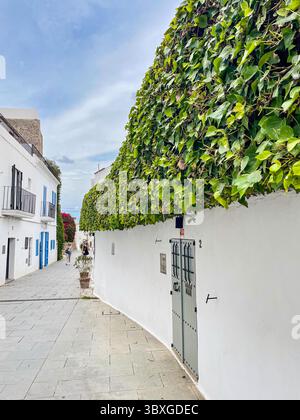 Tranquille strade acciottolate ed edifici imbiancati nella storica Dalt Vila, Ibiza, Isole Baleari, Spagna: Phillip Roberts Foto Stock