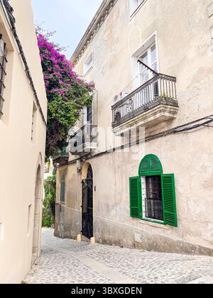 Tranquille strade acciottolate ed edifici imbiancati nella storica Dalt Vila, Ibiza, Isole Baleari, Spagna: Phillip Roberts Foto Stock