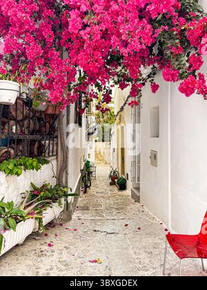 Tranquille strade acciottolate ed edifici imbiancati nella storica Dalt Vila, Ibiza, Isole Baleari, Spagna: Phillip Roberts Foto Stock