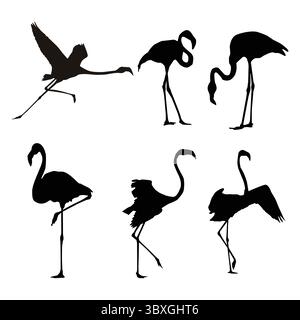 Gli uccelli fenicotteri danno forma a un'illustrazione vettoriale Illustrazione Vettoriale