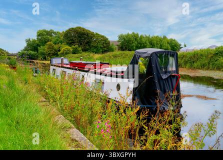 Una chiatta è ormeggiata sulla riva di un fiume Wyre alberato che si sta dirigendo, sotto un cielo blu, verso Glasson Dock vicino Lancaster, Lancashire, Regno Unito Foto Stock